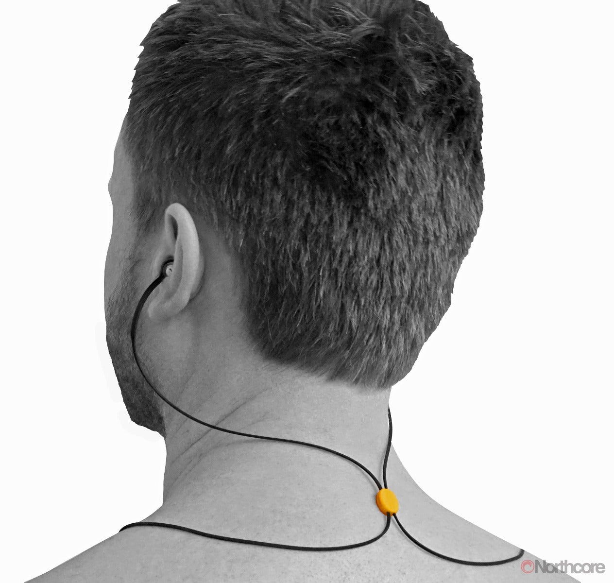 swimshield swimmers ear plugs to block water